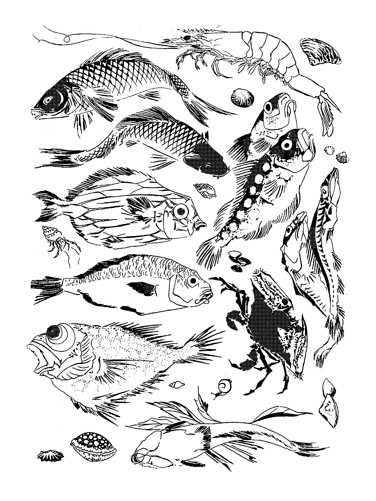Rousseau Dinner Service: Fish print