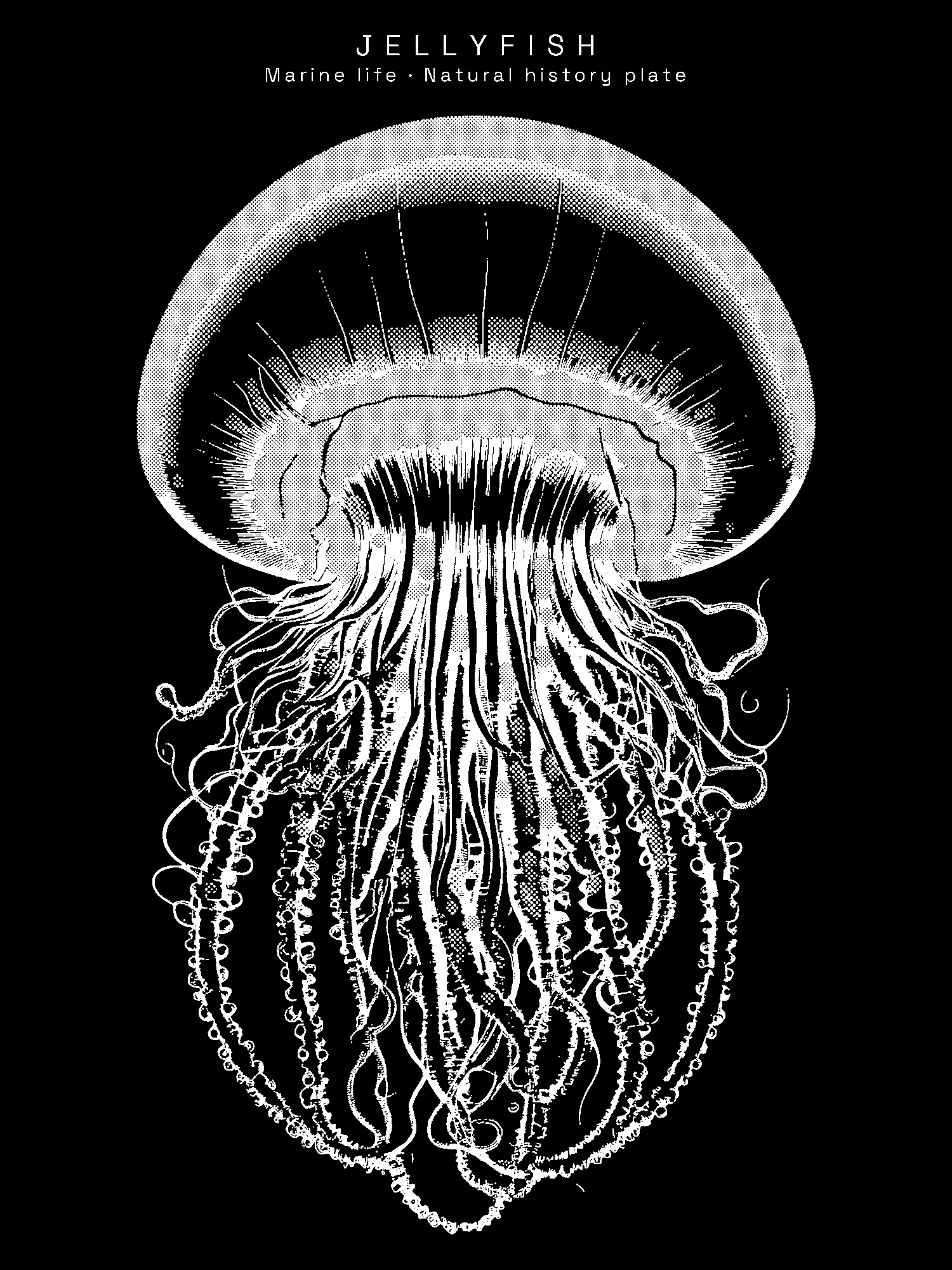 Jellyfish print