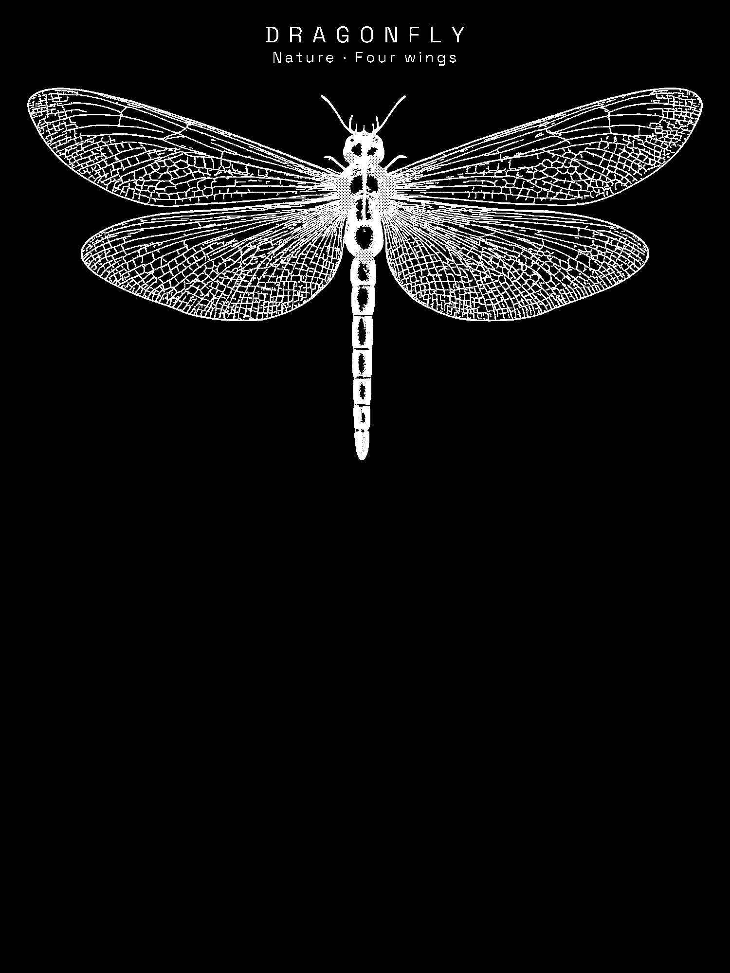 Dragonfly print