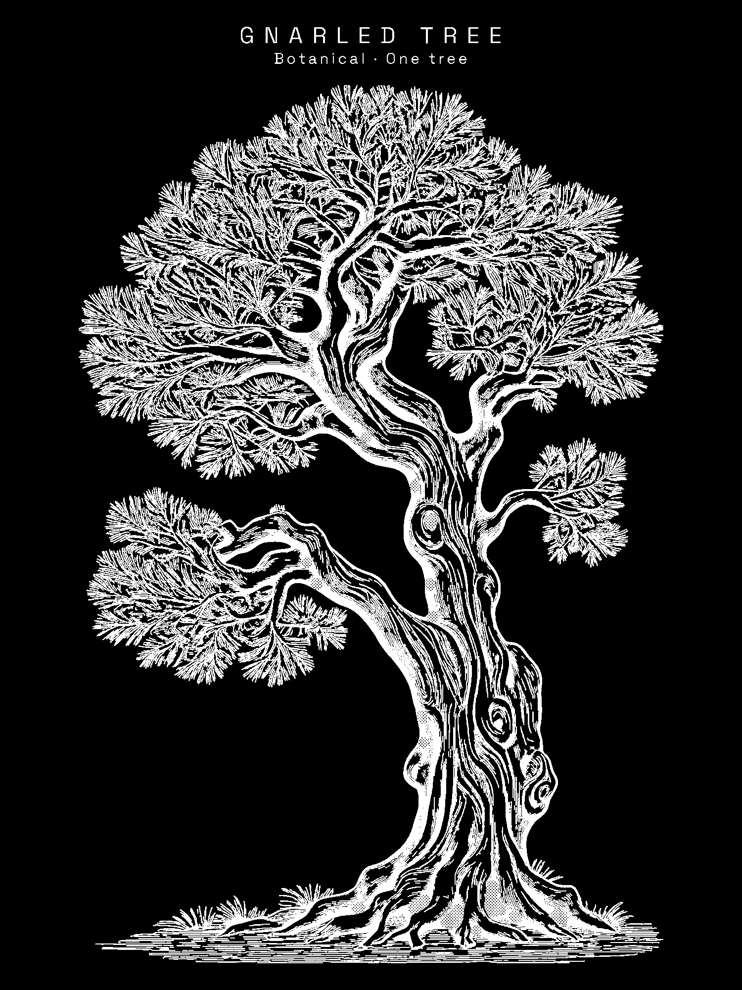 Gnarled Tree print