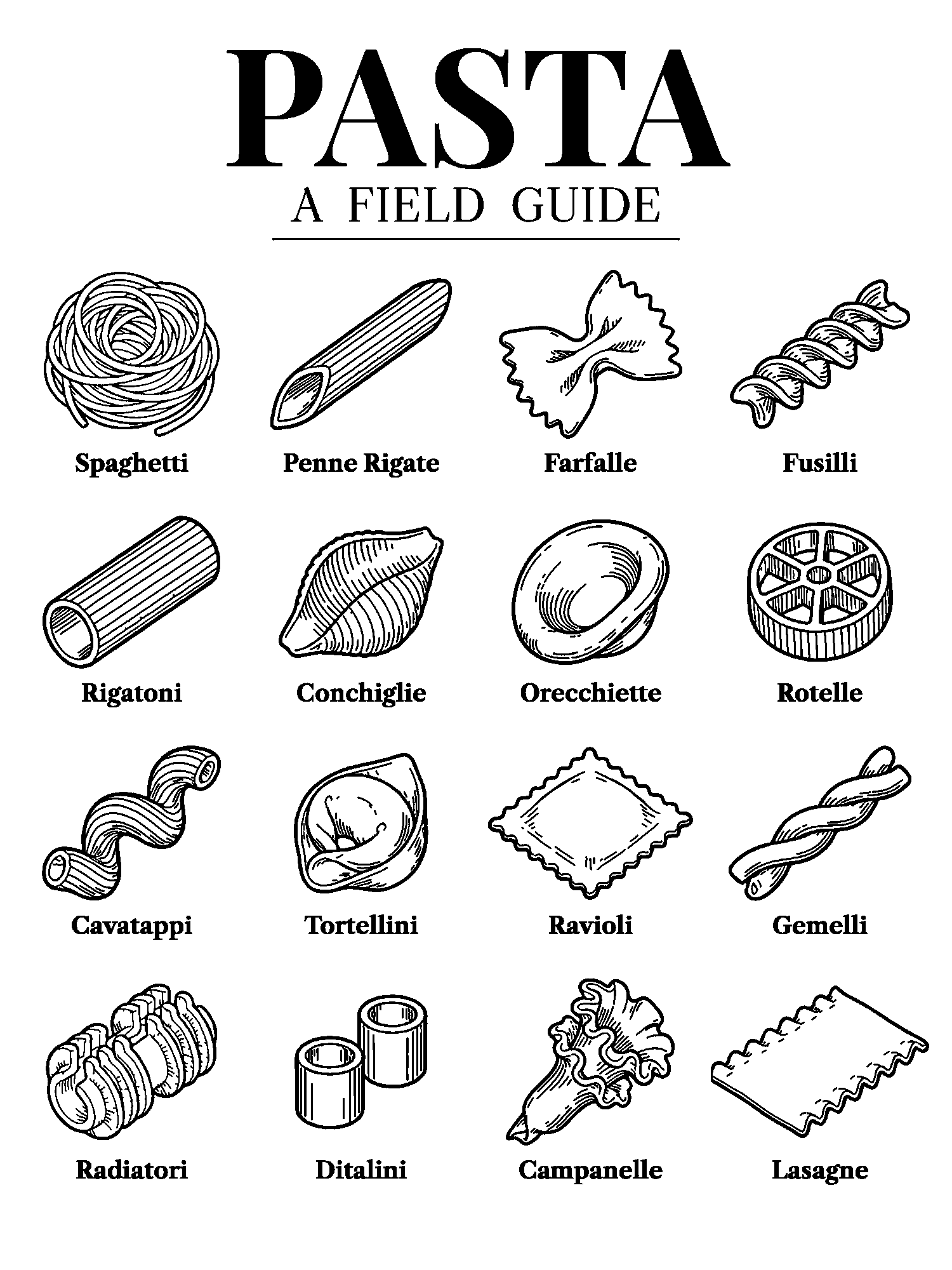 Pasta: A Field Guide print