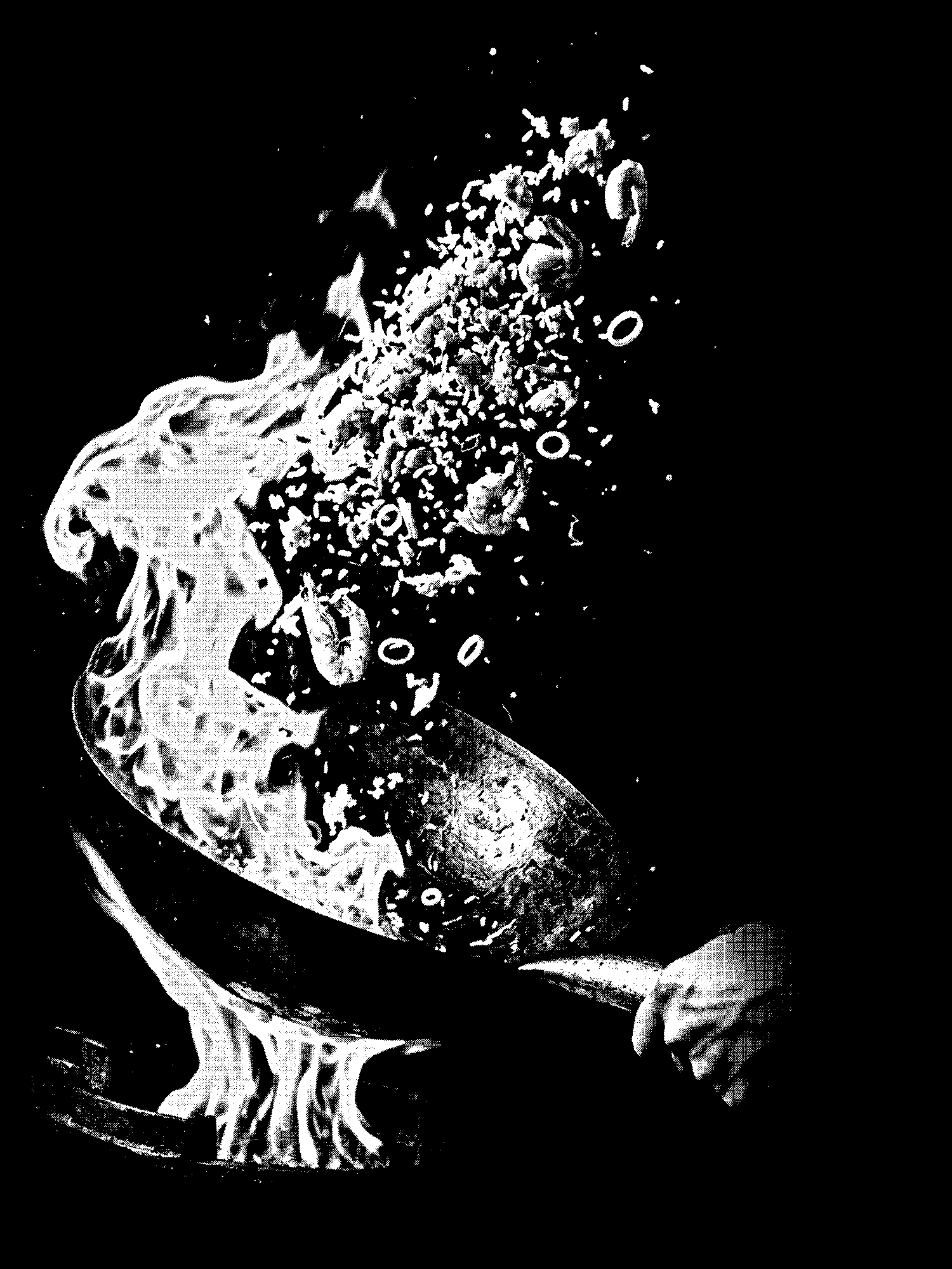 Wok Hei print