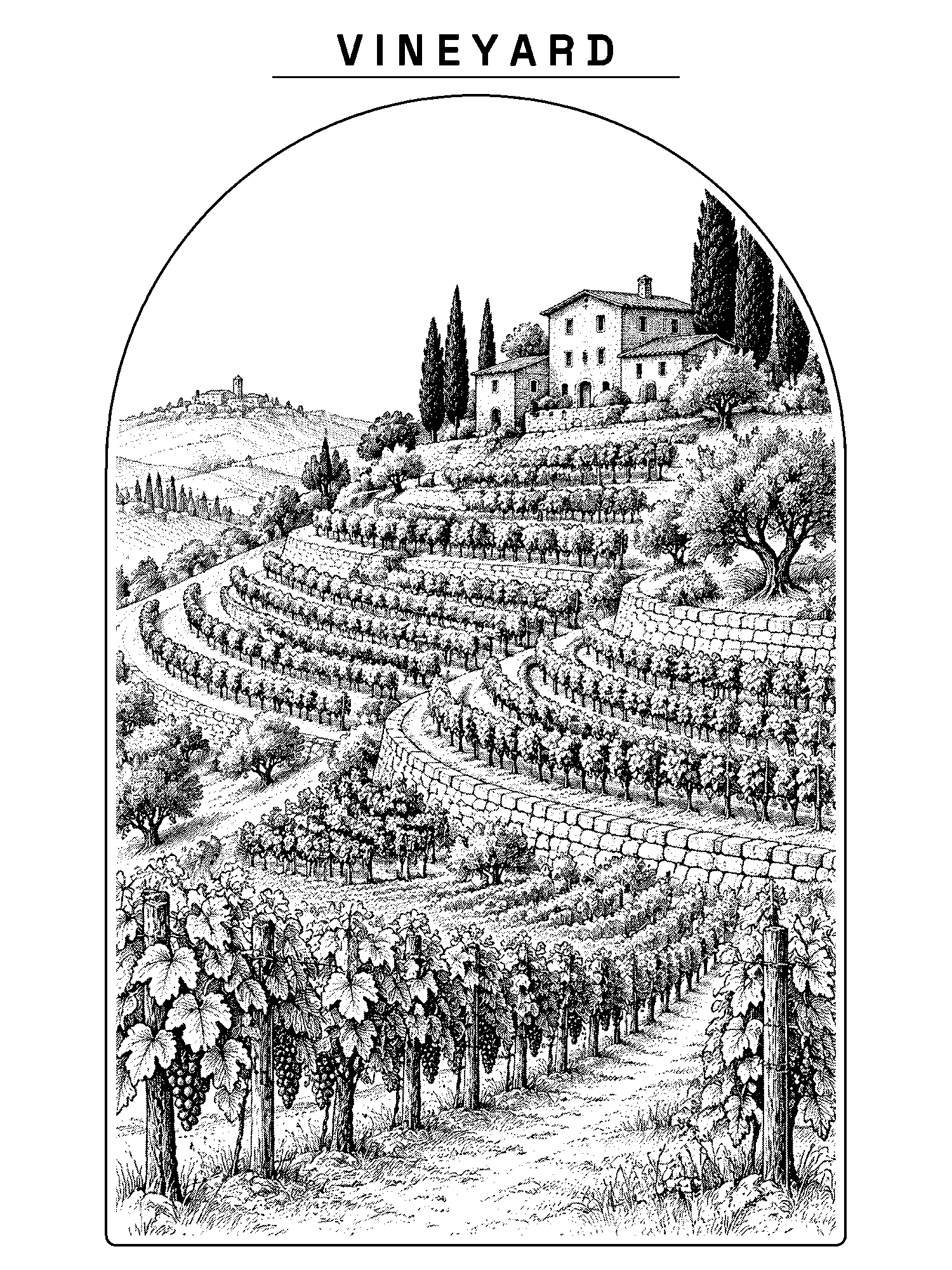 Vineyard print