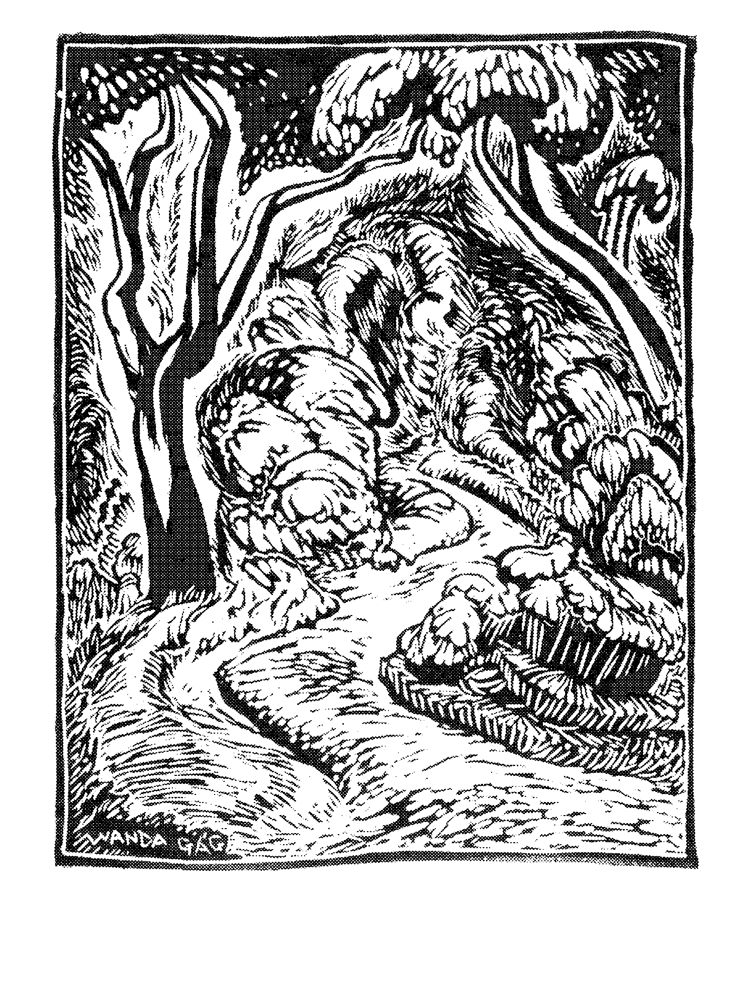 Country Road print