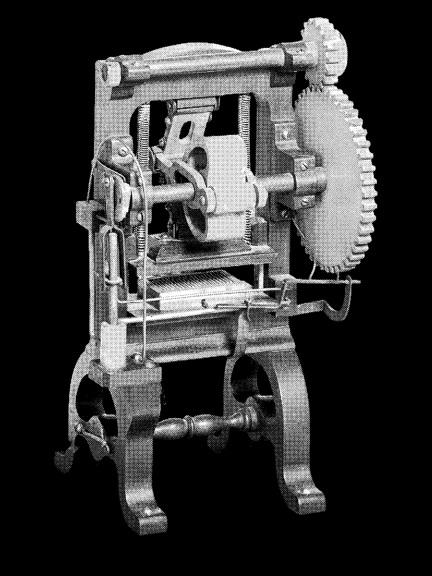 Plate Press Patent Model print