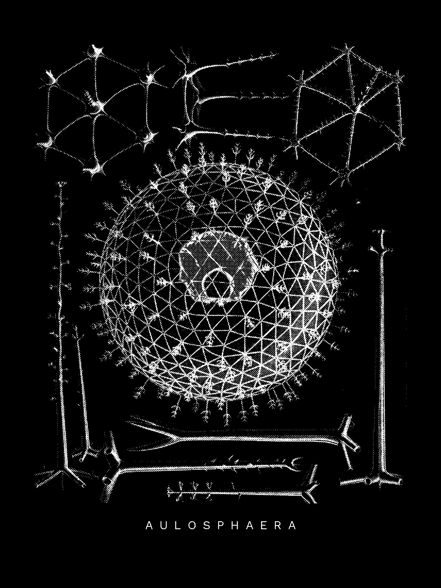 Radiolaria (Challenger) Plate 109 print