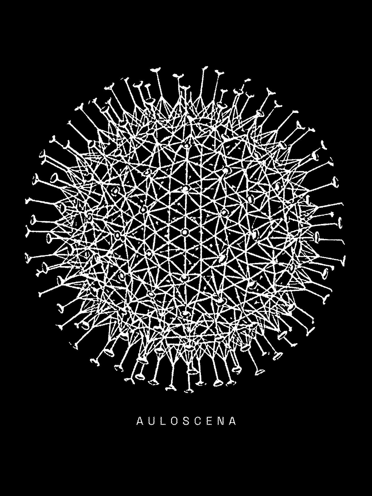 Radiolaria (Challenger) Plate 110 print